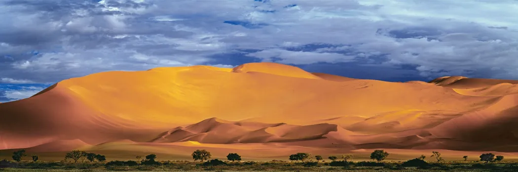 Africa Photography Tours & Workshops