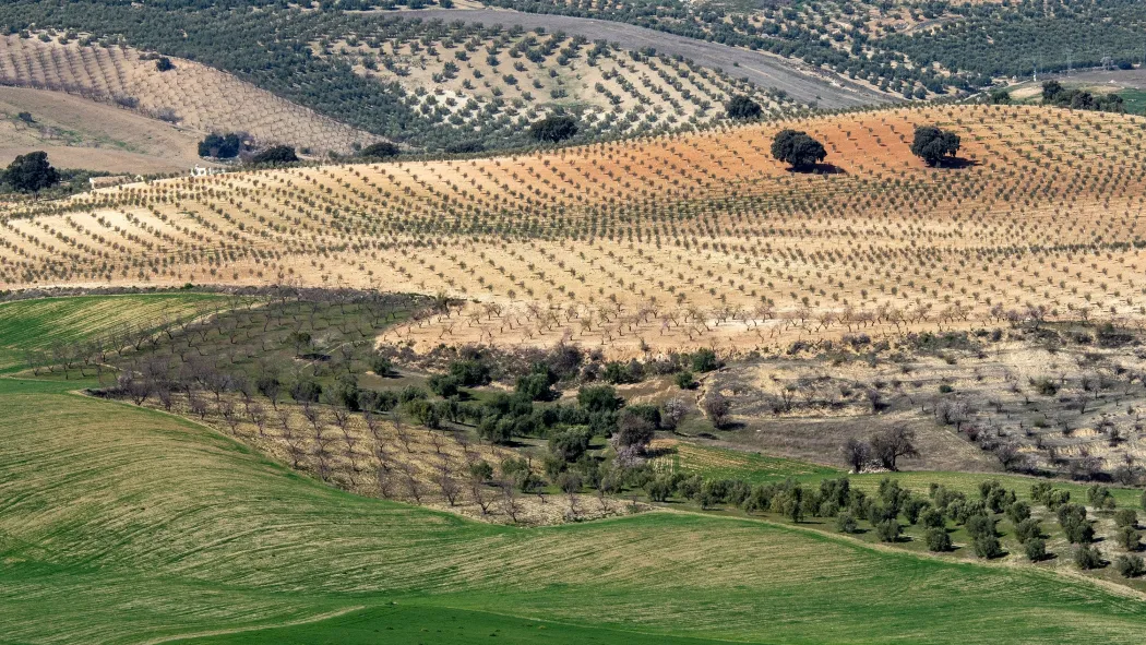 Andalucia Photography Tours & Workshops Andalucia Photography Tours & Workshops