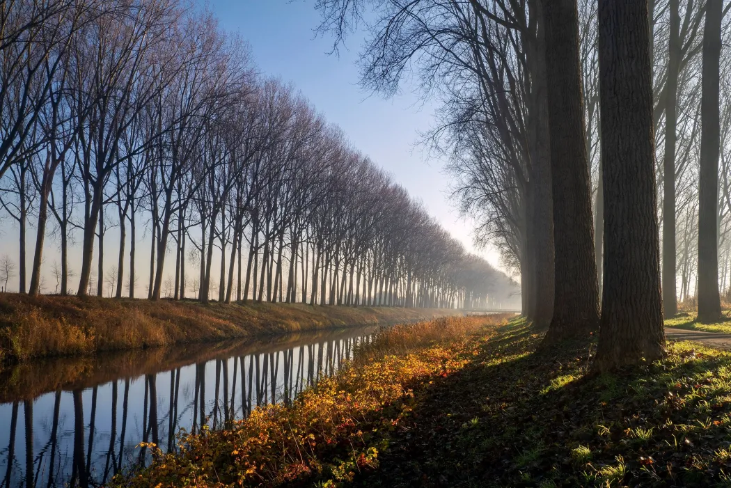 Bruges Photography Tours & Workshops