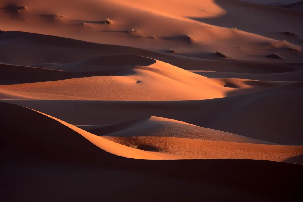 Morocco Photography Tours & Workshops