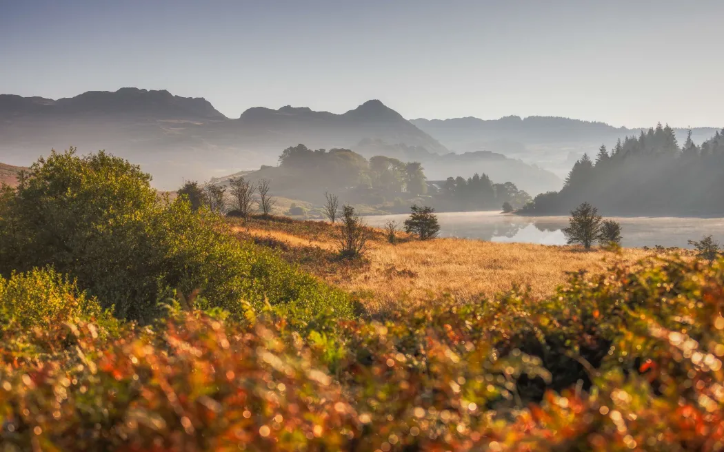 Snowdonia Photography Tours & Workshops