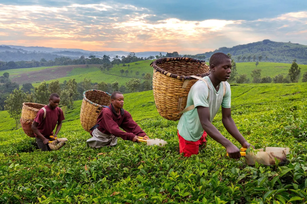 Uganda Photography Tours & Workshops