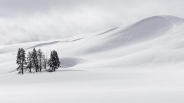 Snowscape, Hayden Valley by Robert Dickinson