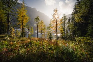 The Canadian Rockies Photography Tour in Fall