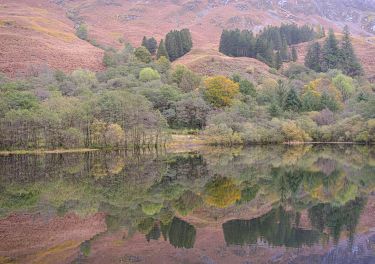 Lochs of Scotland Photography Tour