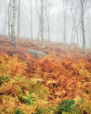 The Peak District in Autumn Photography Tour