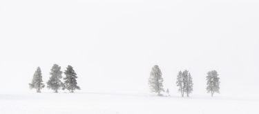 Yellowstone in Winter Photography Tour
