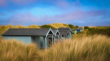 Norfolk Woodlands and Waves - Creative Photography Tour